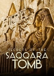 Secrets of the Saqqara Tomb (2020)